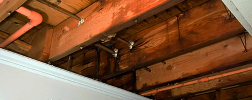 Roof and attic leak repair in a Des Plaines, IL home